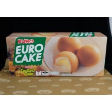 Euro Custard Cake (ยูโร่คัสตาสเค้ก)
